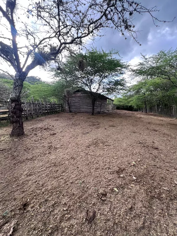 solares y terrenos - finca en Sajoma San José de las matas  4