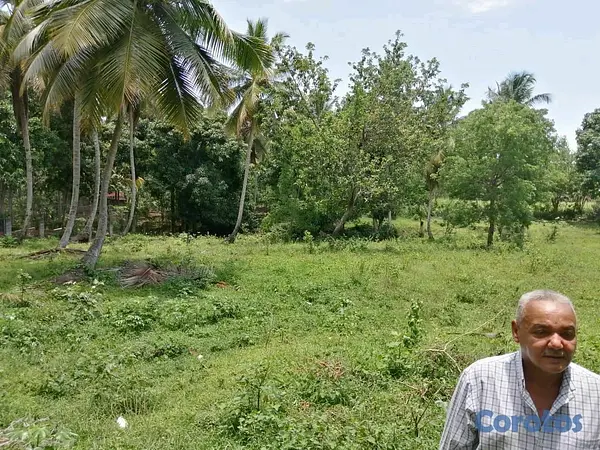 solares y terrenos - Vendo terreno en Manoguayabo  5