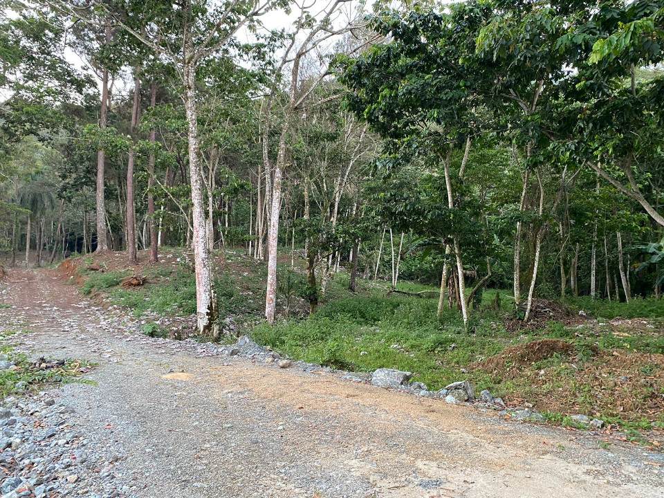 solares y terrenos - Terreno en venta en Mata de Platano  5