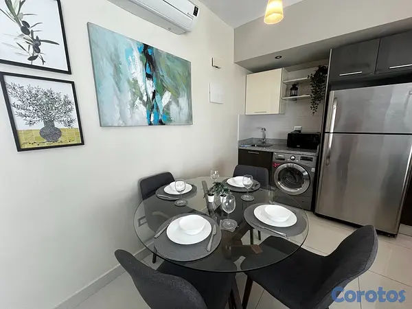 apartamentos - Apartamento en Alquiler en Piantini Amueblado de U 14