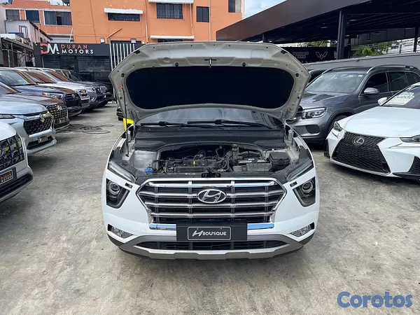 jeepetas y camionetas - Hyundai Cantus Bitono 2021 8