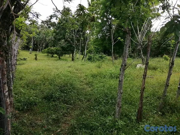 solares y terrenos - Vendo terreno en Manoguayabo  7