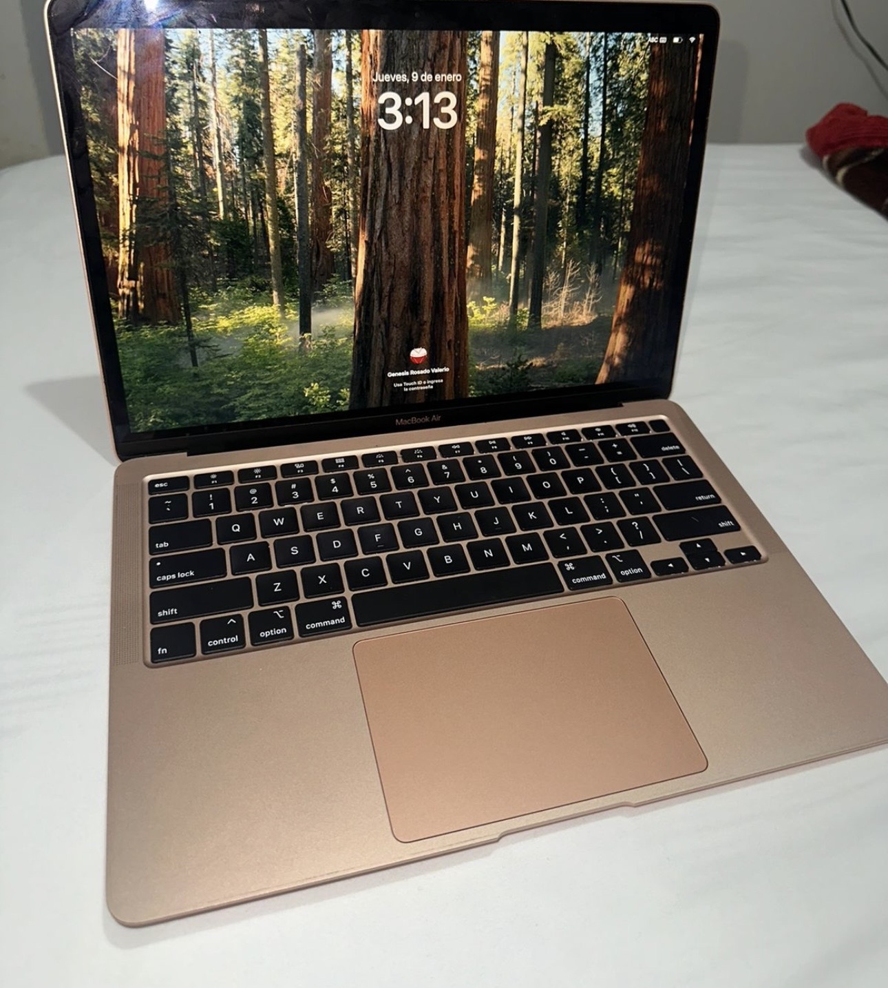 computadoras y laptops - MACBOOK AIR 2020
 4