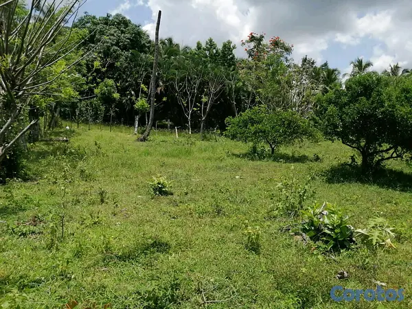 solares y terrenos - Vendo terreno en Manoguayabo  8