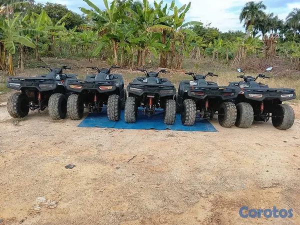 motores y pasolas - 4 Wheels Loncin GA  3