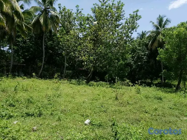 solares y terrenos - Vendo terreno en Manoguayabo  9