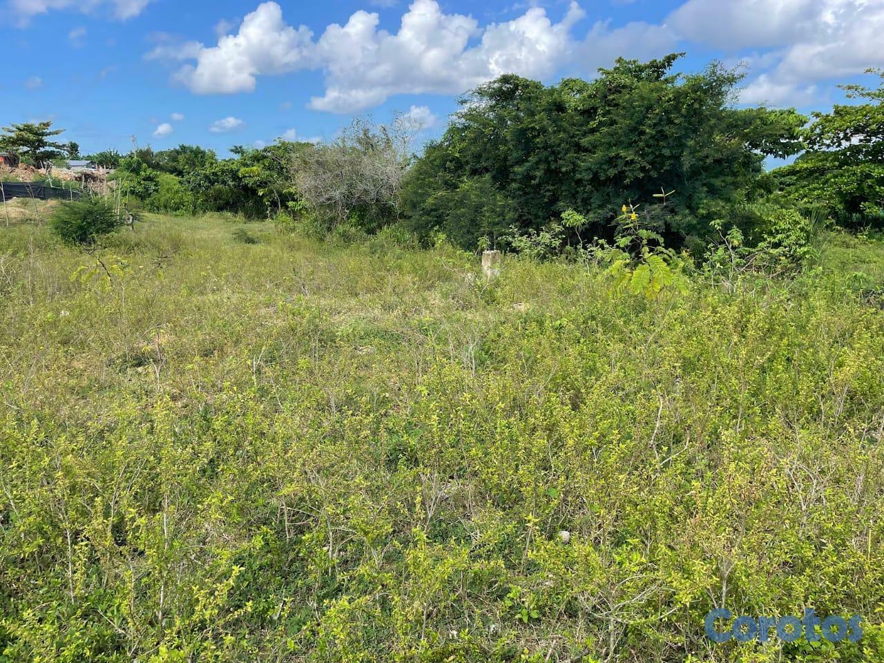 solares y terrenos - Terreno en venta Manoguayabo 1