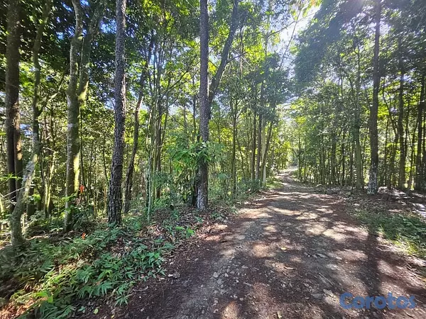 solares y terrenos - Proyecto residencial de Solares en Jarabacoa  3