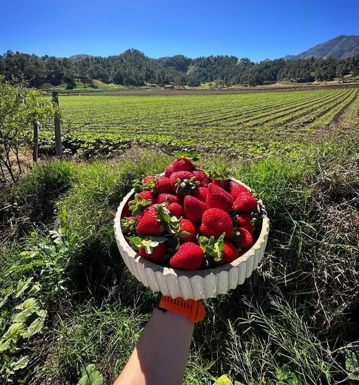 casas vacacionales y villas - DIOs📍Constanza 😅 Villa de lujo📍Vacacional 8