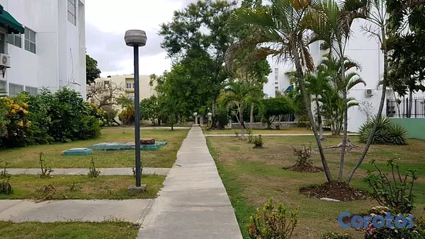apartamentos - Apartamento en Alquiler en Mirador Sur, frente al Parque 8