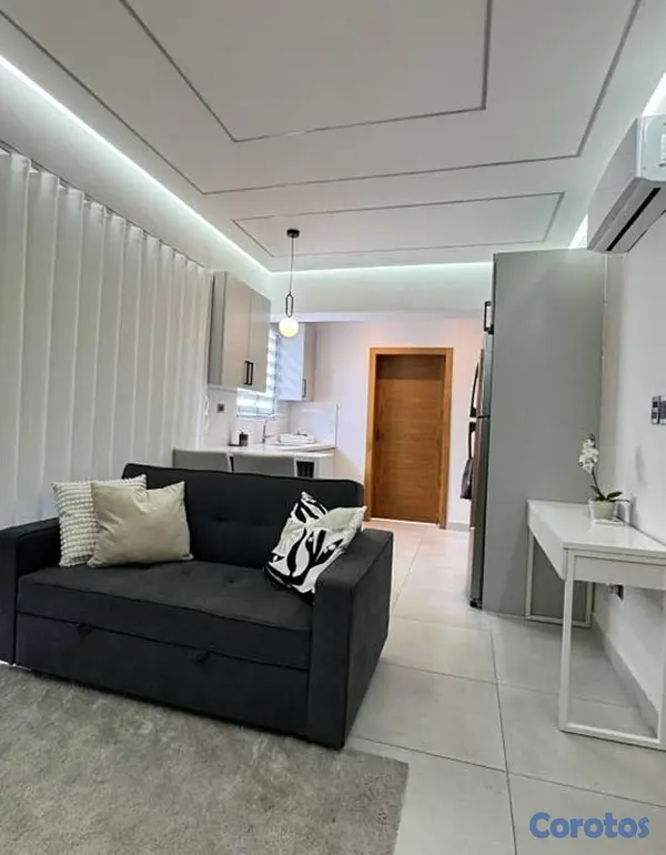 apartamentos - 1 Habitación Amueblado En Piantini 6