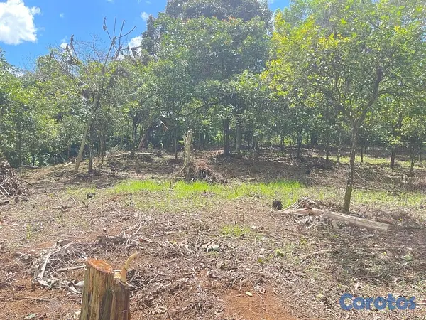solares y terrenos - Oportunidad: Terreno 3,323 m² con Título en Don Juan, Monte Plata 7