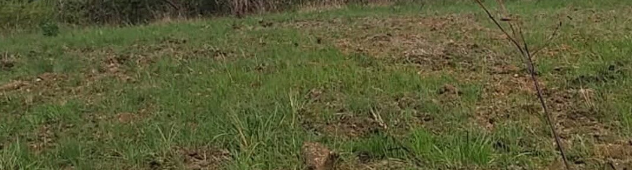 solares y terrenos - venta de solar en la misma avenida ecológica Santo Domingo este  0