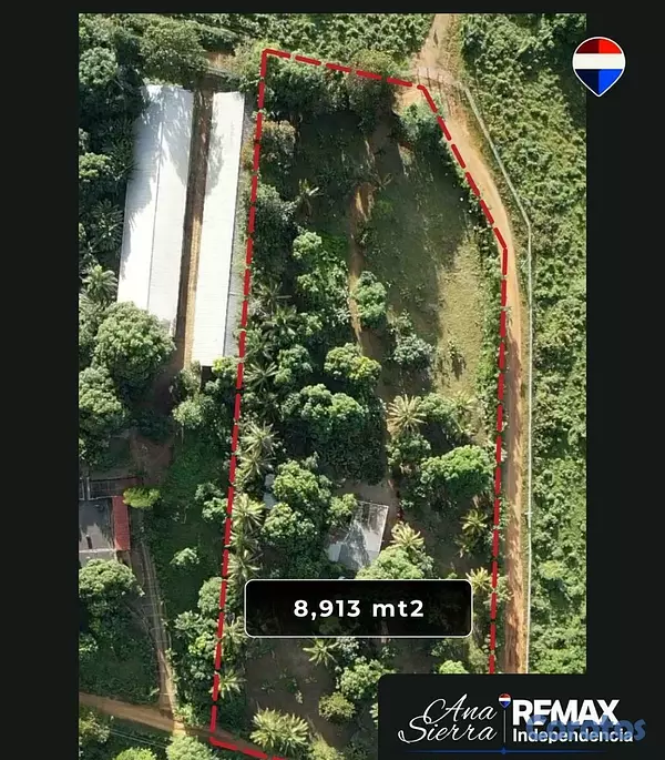 solares y terrenos - FINCA EN PEDRO BRAND 6
