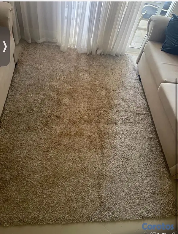 decoración y accesorios - Alfombra para la sala o comedor  2
