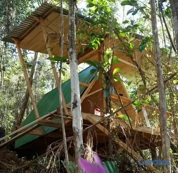 construccion e industrial - construcción de cabañas, Tiny house, madera o metal  2