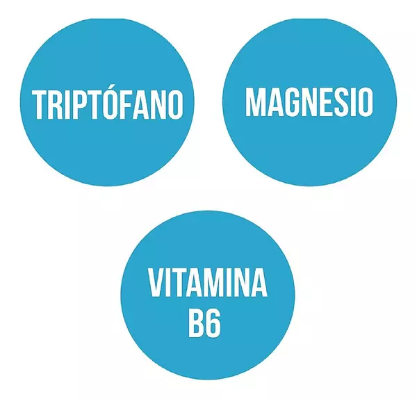 Salud y Equipamiento Médico - Ana María Lajusticia Triptófano + Magnesio + B6 - 60 Caps 3