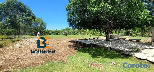 solares y terrenos - SE VENDE DE OPORTUNIDAD Excelente Finca con 3,000  2