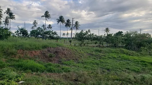 solares y terrenos - Solar en venta en Sanchez - Samana 6