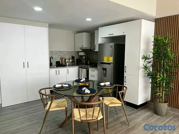 apartamentos - Alquiler y venta de Apartamento amueblado el Naco 3