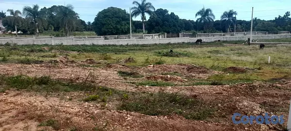 solares y terrenos - Vendo Terreno en San Cristóbal  4