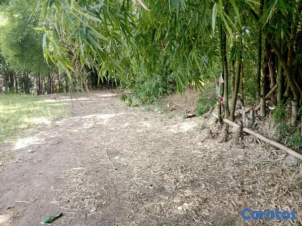 solares y terrenos - Vendo Terrero en Hato Nuevo ( Manoguayabo) 2