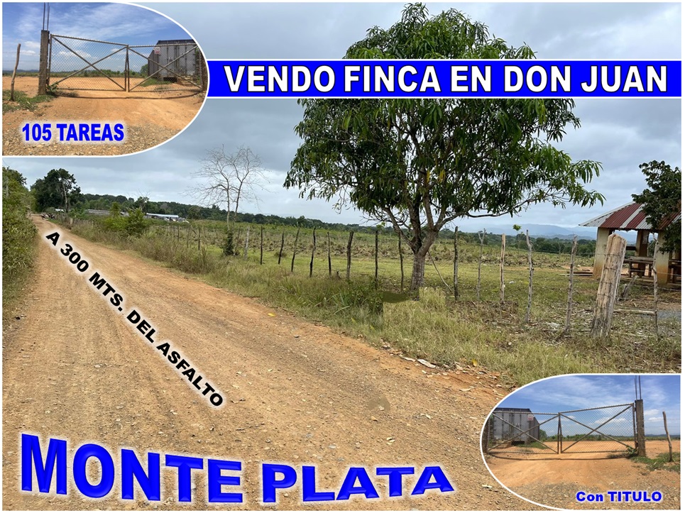 solares y terrenos - SUPER FINCA DE 105 TAREAS A 300 Mts. DE LA  CARRETERA EN DON JUAN, MONTE PLATA 1