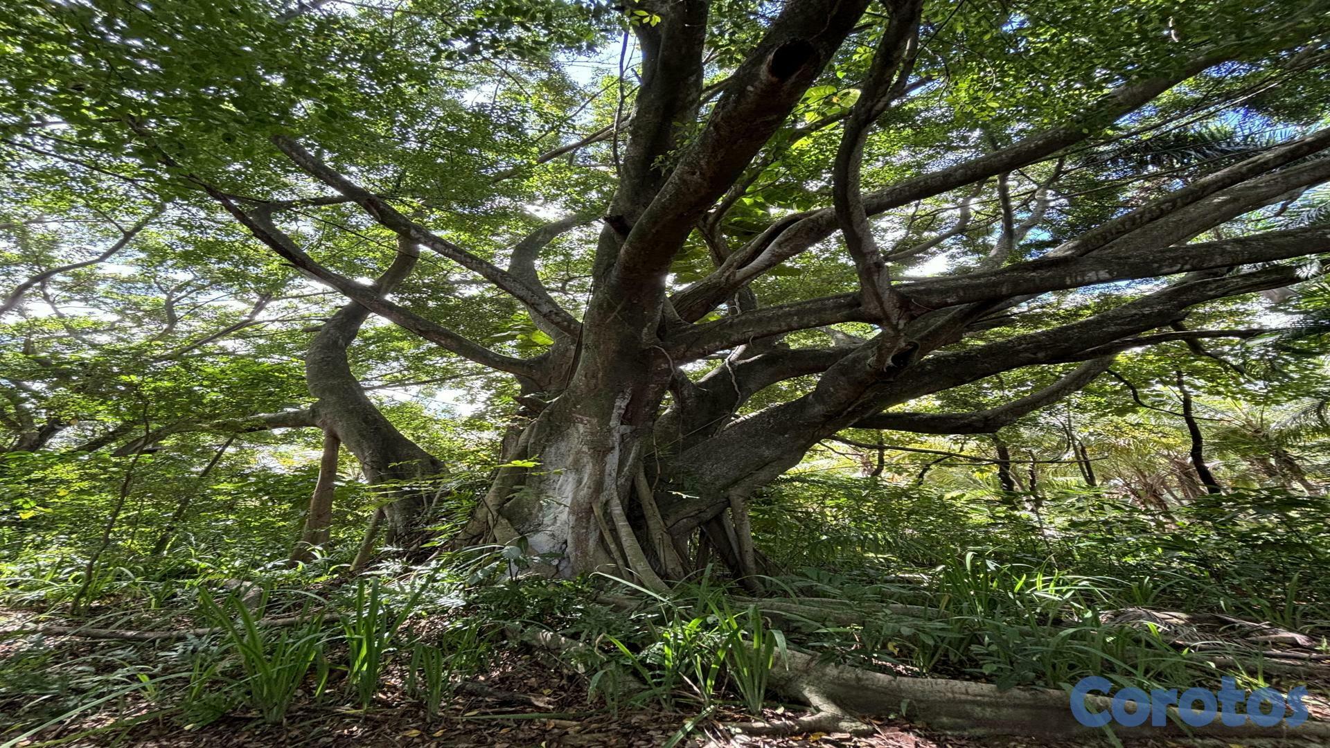 solares y terrenos - Venta Finca Km25 Autopista Duarte 10