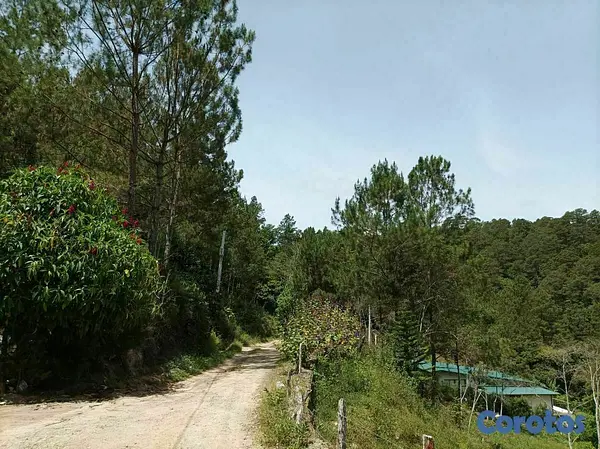 solares y terrenos - Terreno para proyecto ecoturistico en jarabacoa 2