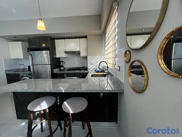 apartamentos - Apartamento en Alquiler en Piantini Amueblado de U 15