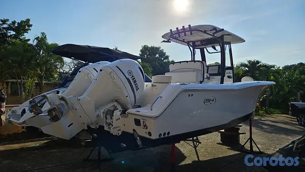 botes - título de florida con su matrícula de navegar en RD 17