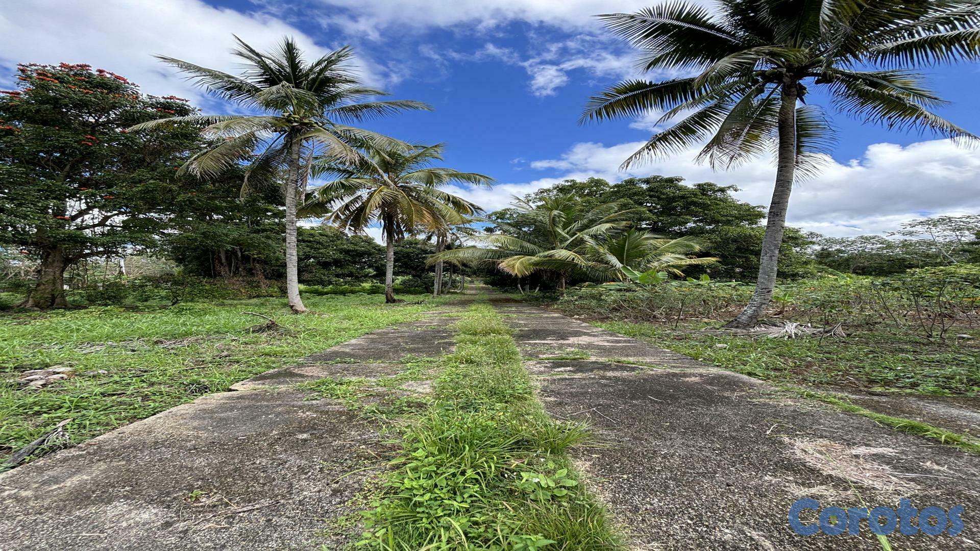 solares y terrenos - Venta de Terrenos KM 25 Autopista Duarte 3