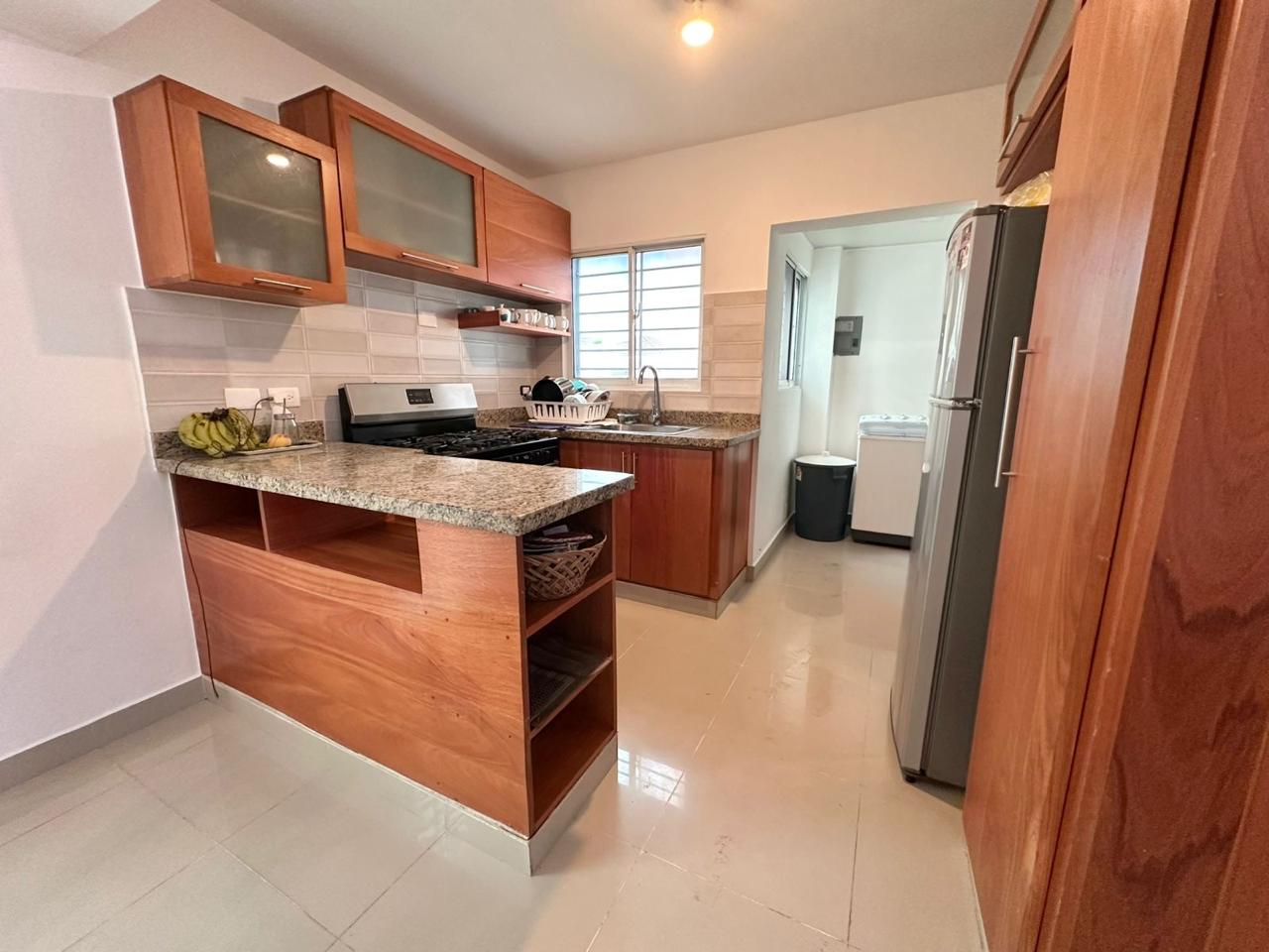 apartamentos - APARTAMENTO SECTOR DE LOS RIELES, SANTIAGO 0