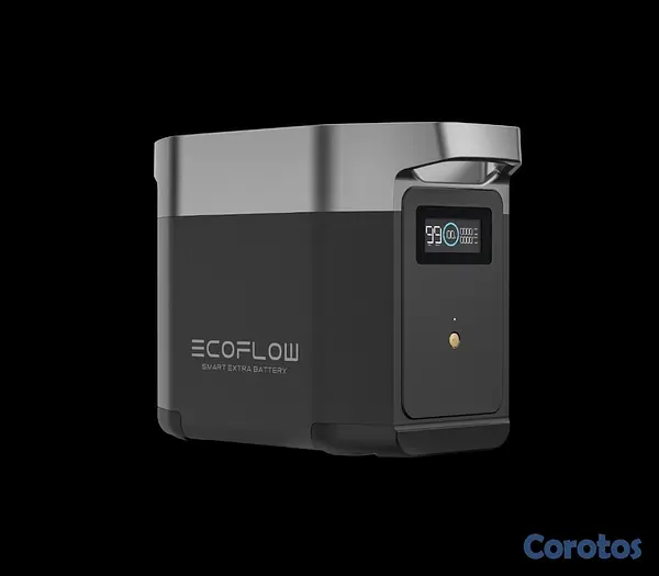 plantas e inversores - batería adicional Ecoflow delta 2 1024W 2