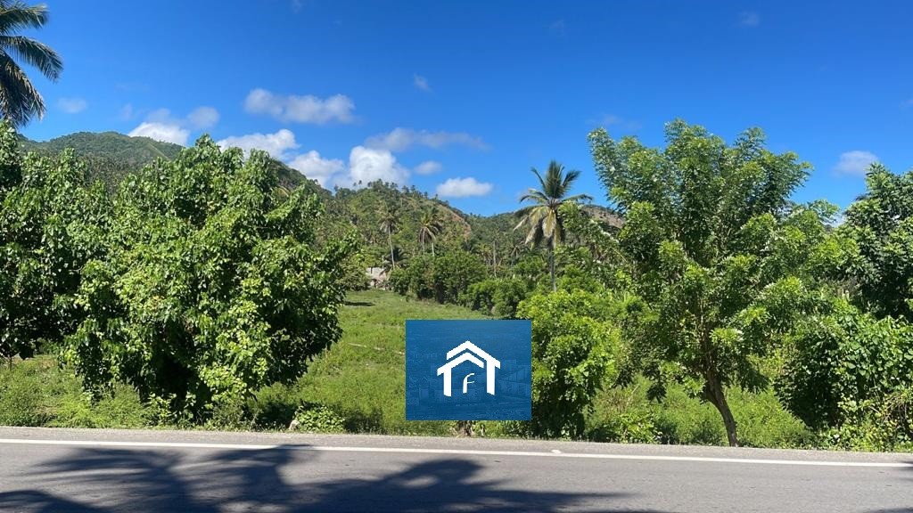 solares y terrenos - Solar en Samana de 10,447 metros Frente a la Playa el Frances, Samana 2