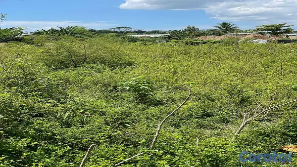 solares y terrenos - Terreno en venta Manoguayabo 4