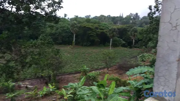 solares y terrenos - Venta de finca con edificación comercial / residencial 2