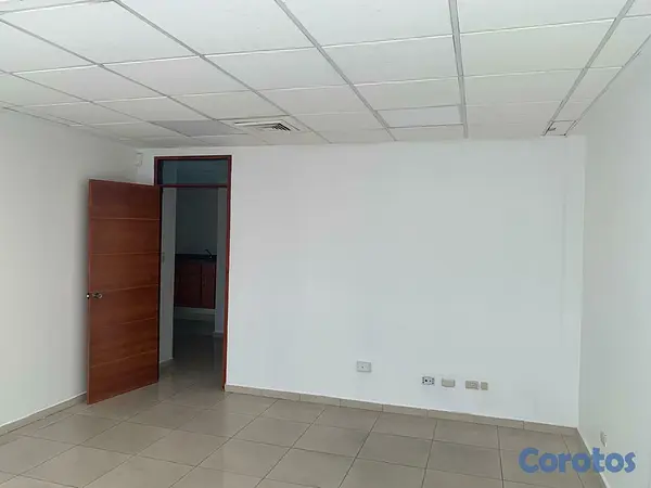 oficinas y locales comerciales - Local comercial en Piantini 3