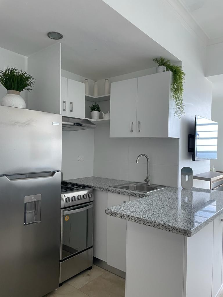 apartamentos - SIN INTERMEDIARIOS RENTO APARTAMENTO CERCA TETRO NACIONAL---- info imbox 7