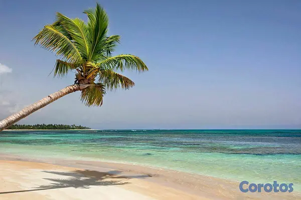 apartamentos - Apartamento en Remate Las Terrenas con Playa 9