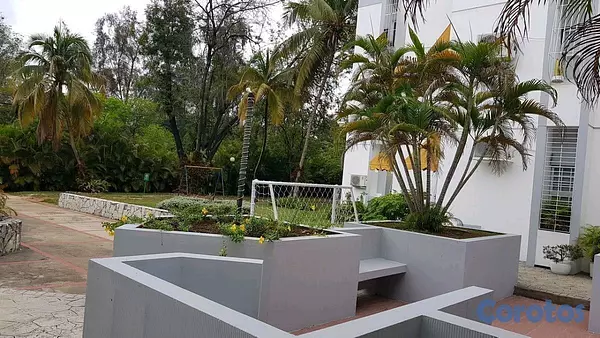 apartamentos - Apartamento en Alquiler en Mirador Sur, frente al Parque 9
