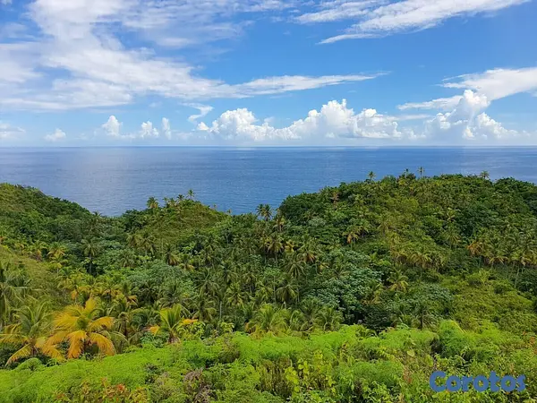 solares y terrenos - Terreno en las Terrenas de 145,664 m².
 7
