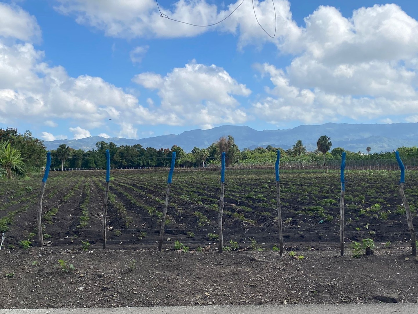solares y terrenos - Terreno con 13,852 Mts2 en Limonal, Licey  2