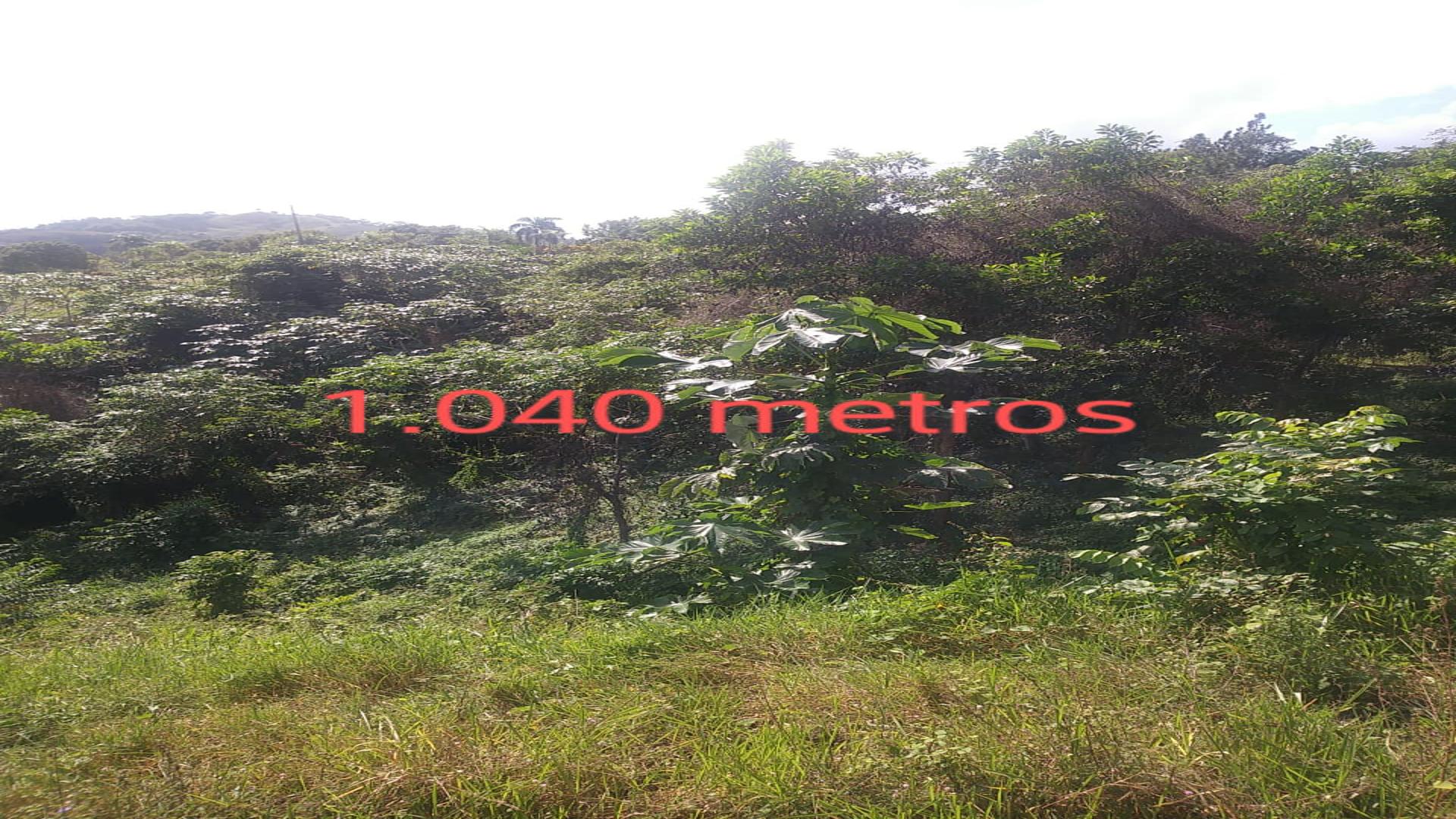 solares y terrenos - SOLARES EN VENTA EN PROYECTO ECOTURÍSTICO “Autopista Duarte Km 42” 4