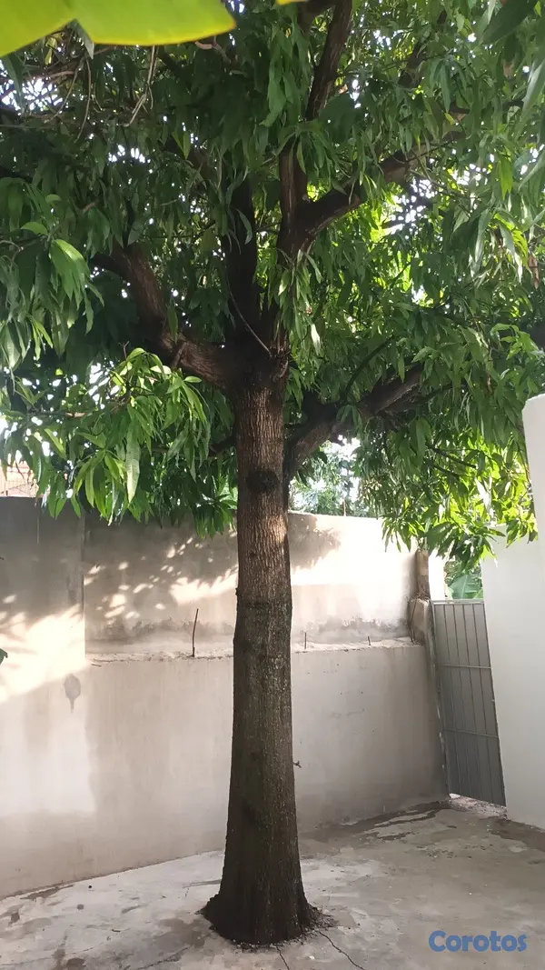 casas - CASA EN VENTA, SANTO DIMINGO OESTE  6
