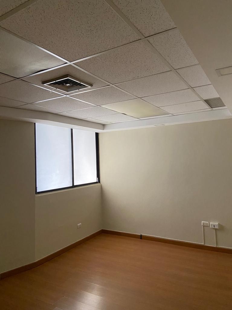 oficinas y locales comerciales - Locales de oficina en alquiler en El vergel  1