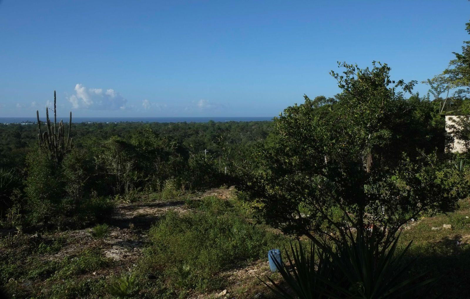solares y terrenos - VENTA DE TERRENO EN BAHAHIBE - ZONA COSTERA DE REPÚBLICA DOMINICANA 4