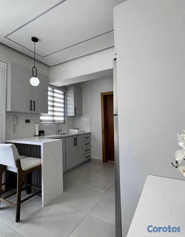 apartamentos - 1 Habitación Amueblado En Piantini 7