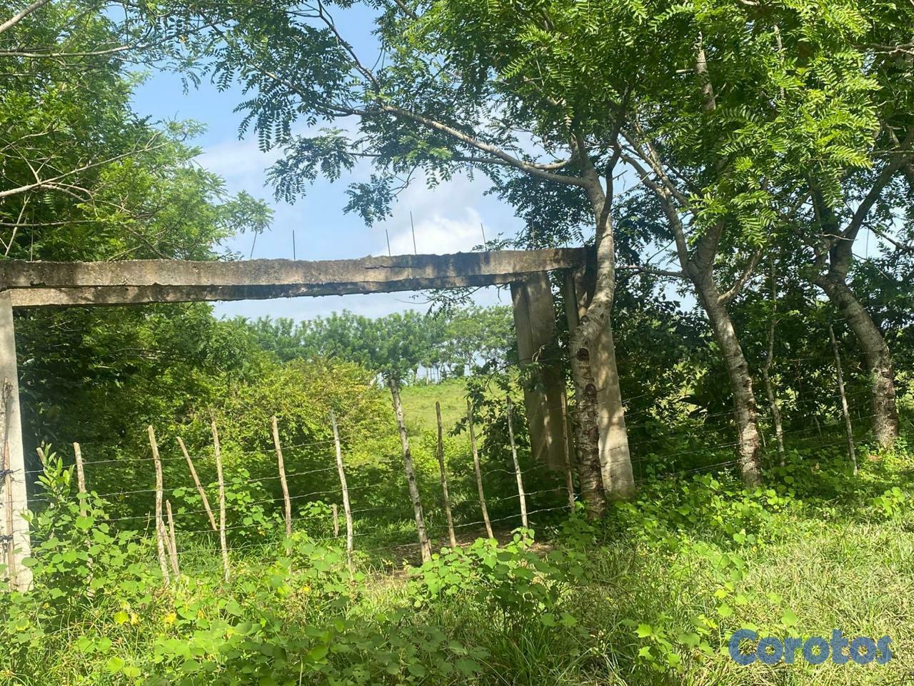 solares y terrenos - SOLAR EN VENTA JOBILLO 8