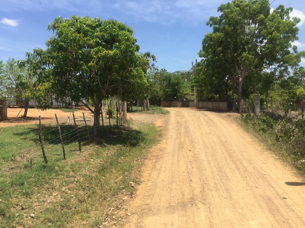 solares y terrenos - SUPER FINCA DE 105 TAREAS A 300 Mts. DE LA  CARRETERA EN DON JUAN, MONTE PLATA 6